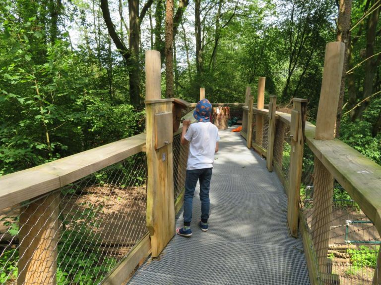 Toller Waldspaziergang mit Brücke, Vogelbeobachtung, Vogelpark