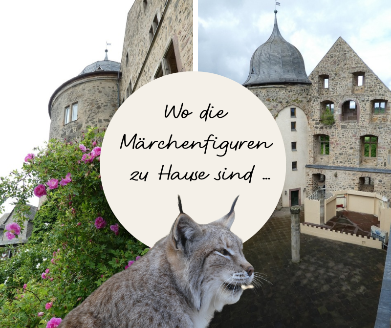 Sababurg Wo die Märchenfiguren zu Hause sind
