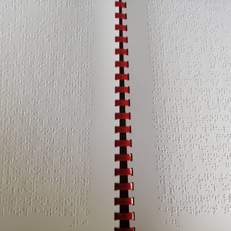 Kinderbücher in Brailleschrift, Kinderbücher, Jugendbücher, Brailleschrift, Blindenbücher, Inklusion, Kinderbuchverlag, Biber und Butzemann