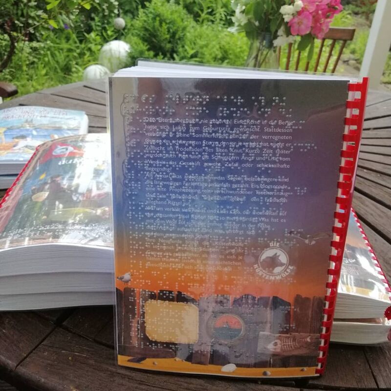 Ziemlich beste Ferien, Küstenwölfe, Kinder- und Jugendbücher in Brailleschrift, Iris Waßong, Lesefreude