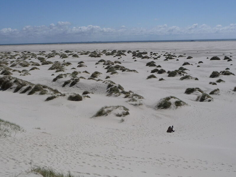 Blick auf die Dünen, Ausflüge mit Kindern, Aktivitäten mit Kindern, Sandstrand auf Amrum