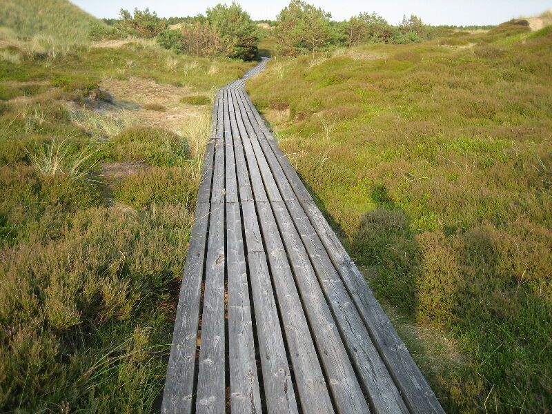 Wanderweg durch die Dünen, Nordseeinsel Amrum, Ausflugsideen für Familien Amrum