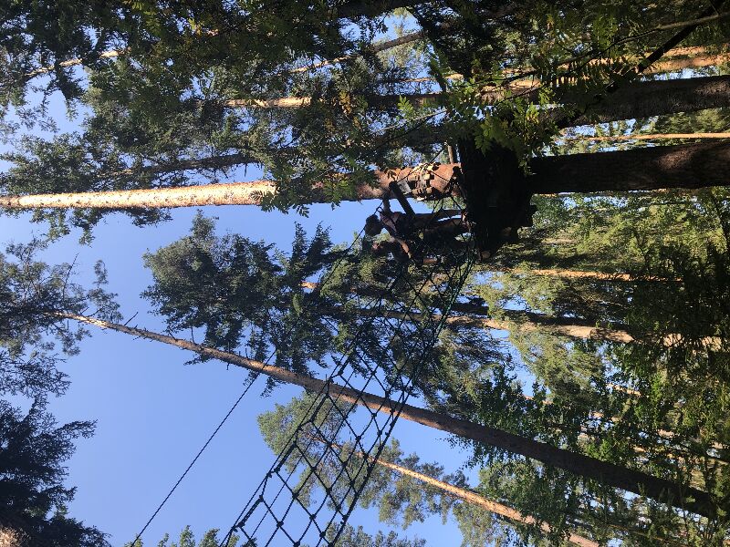 Wald mit Kletternetz für Kinder, Hohenfelde, Kranichfeld, Klettern, Kletterabenteuer, Ausflüge mit Kindern