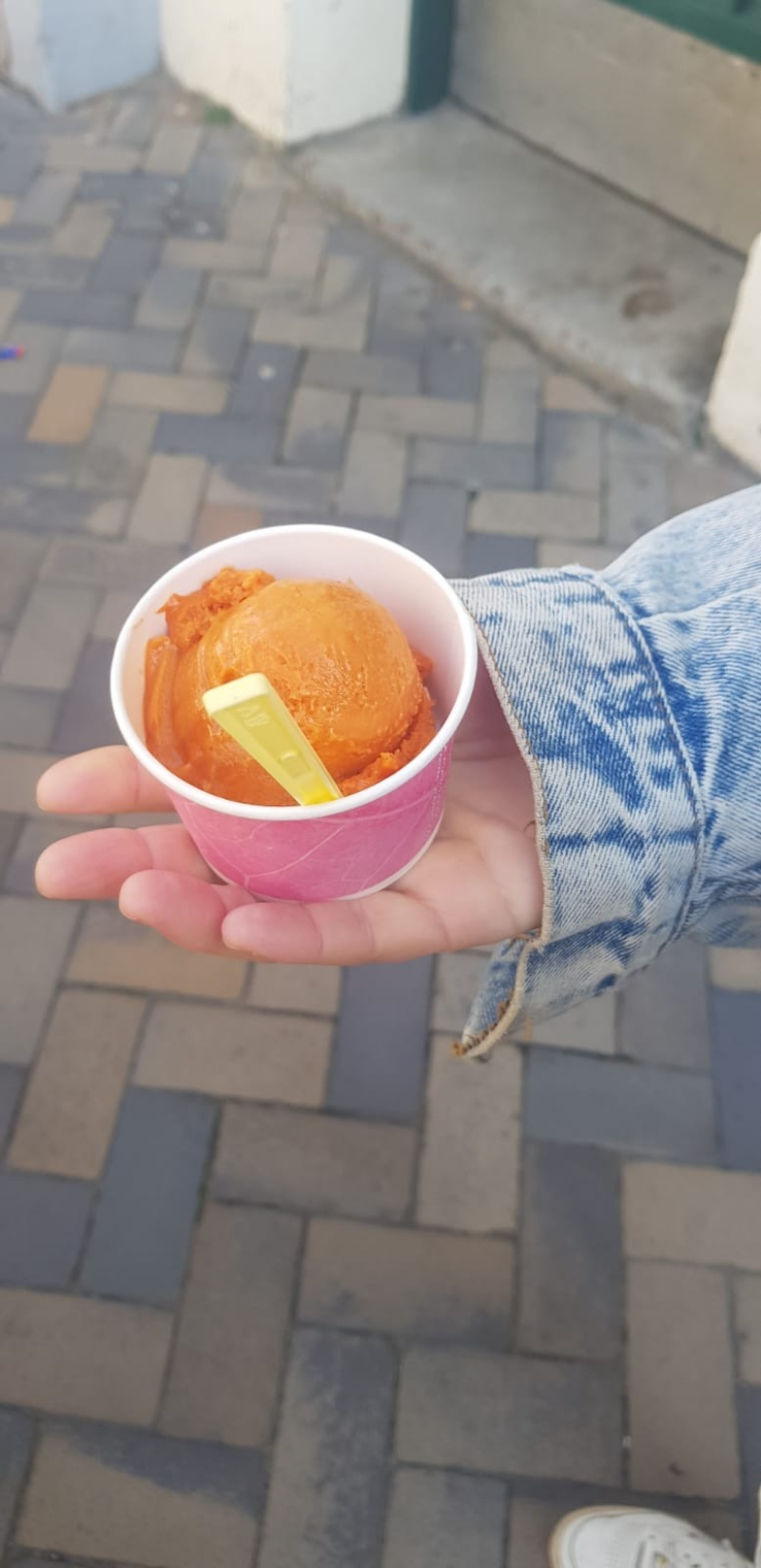 Eis essen in der Stadt, Ausflugsziele in Schleswig-Holstein, Ausflüge mit Kindern, Reiseblog Familienurlaub, Flensburg Altstadt, Eisessen Flensburg, veganes Eis