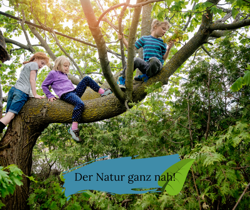 Kinder sitzen auf Baum, Natur, klettern