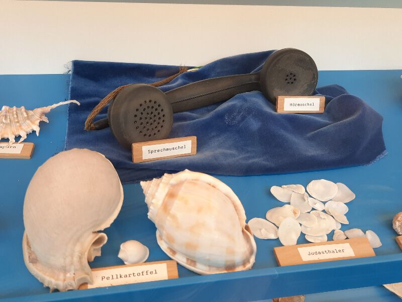 Reiseblog Familienurlaub, Spiekeroog, Muschelmuseum, Urlaub mit Kindern