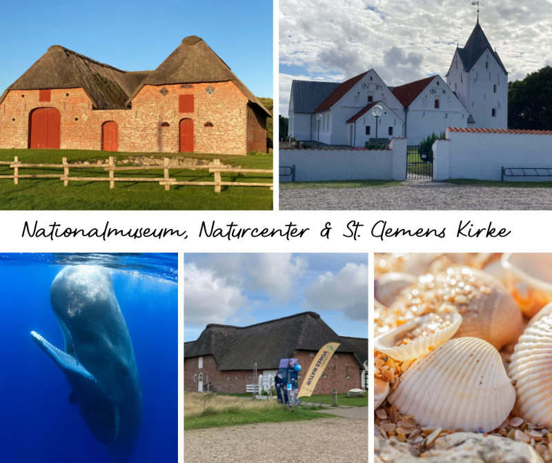 spannende Ausflüge für die ganze Familie in Dänemark