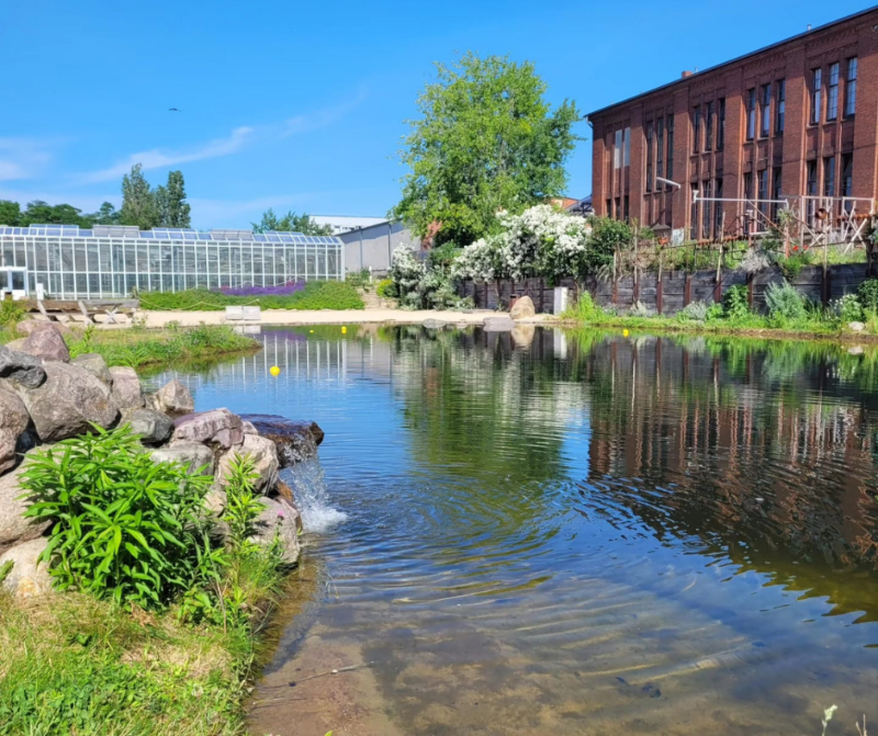 DNK 2024 Berlin